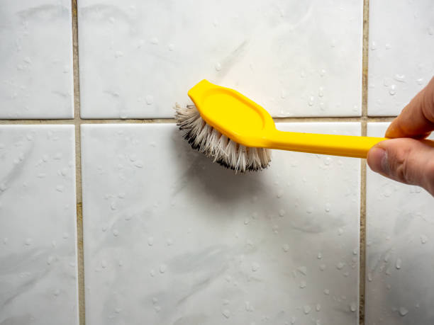 Best Fast Mold Removal  in Millington, TN
