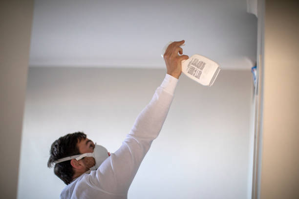 Certified Mold Removal in Millington, TN